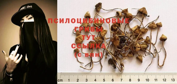 меф Михайлов