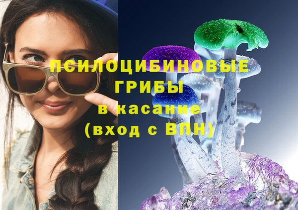 МДПВ Михайловск